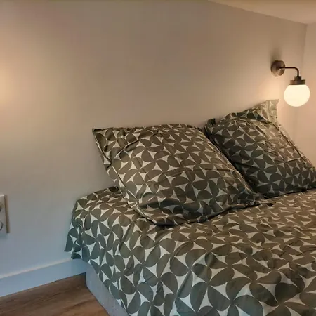 Le Freyssinet - Studio Avec Coin Nuit A Apartment